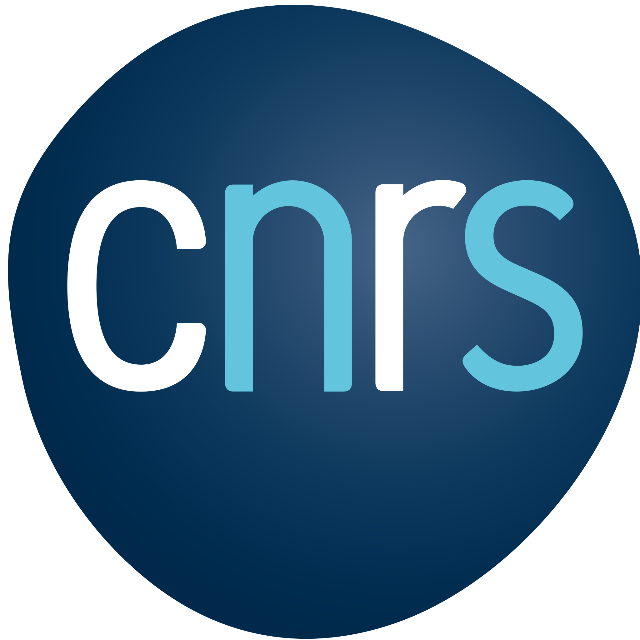 Logo Centre_national_de_la_recherche_scientifique